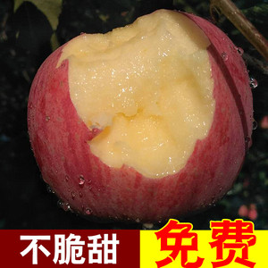烟台苹果正宗山东栖霞红富士冰糖心10斤包邮丑带皮吃新鲜水果苹果苹果水果