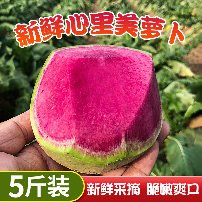 心里美萝卜红心绿皮冰糖水萝卜新鲜 花心大萝卜生吃爽口雕刻5斤