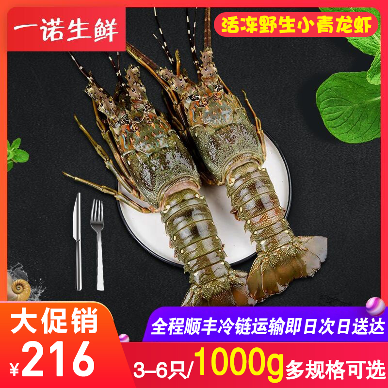 澳洲青龙虾3只/1000g 鲜活速冻大青龙虾 特大龙虾青龙虾仔 包邮