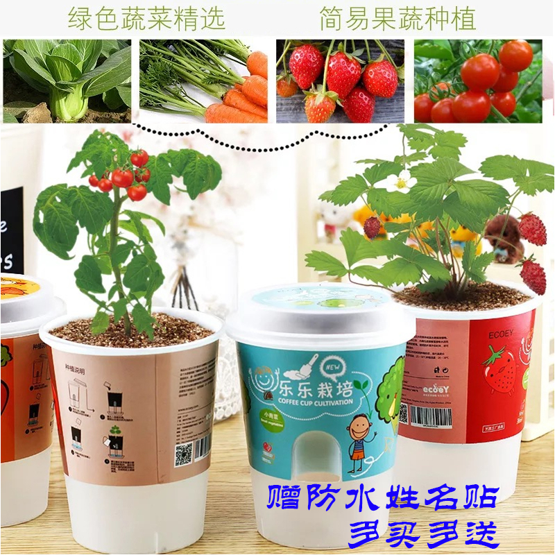 幼儿园植物角种子种植小盆栽 儿童绿植观察小学生实验diy科教玩具