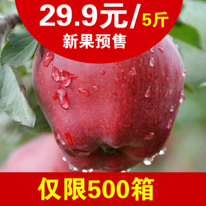 现摘天然新鲜水果苹果礼县甜脆花牛中小苹果特价试吃4斤送1斤苹果水果