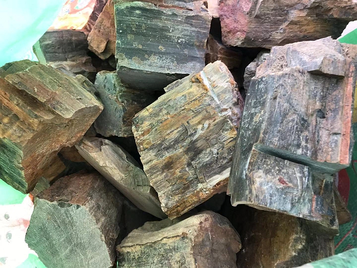 共801 件硅化木木化石树原石相关商品