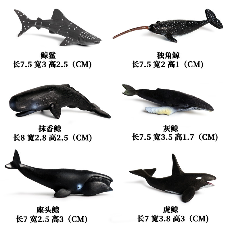 鲸鲨独角鲸抹香鲸灰鲸座头鲸虎鲸蓝鲸大白鲨鱼海豚手办玩具模型