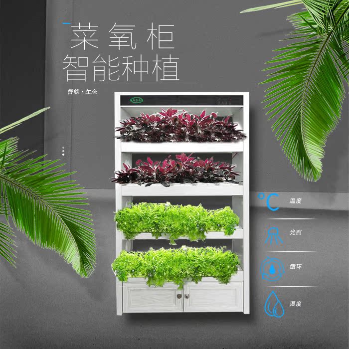 共320 件智能蔬菜种植机相关商品