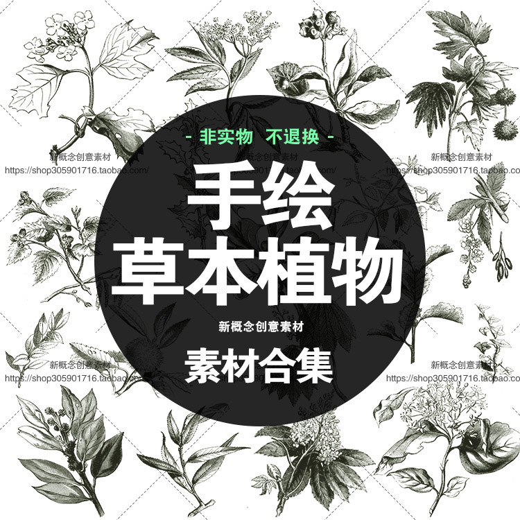 高清花卉草本植物手绘线稿工笔国画插画包装贴图ai矢量设计素材