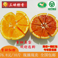 三峡秭归脐橙新鲜水果 血橙红橙脐橙 标准果5