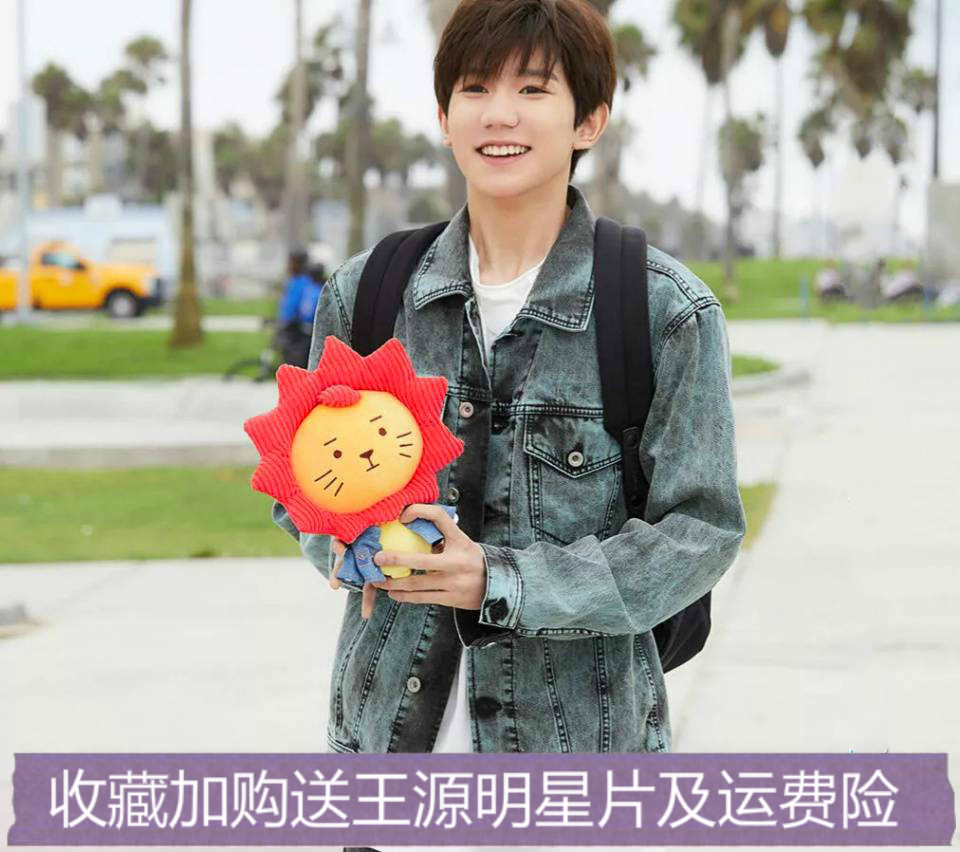 莱阳公仔 王源 同款应援物roy6源设计公仔毛绒玩偶生日礼物 女生