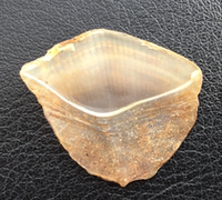 山甲片-配件山蝶nail厂家直销金属合金美甲饰品