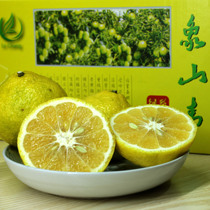 【象山青桔子】_象山青桔子推荐_品牌_价格_