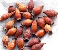 糖梨子candy优惠价86.00元,糖梨子candy精心为