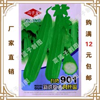 大肉丝瓜特嫩香丝瓜-瓜种子阳台菜园盆栽庭院