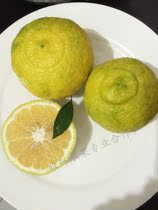 【象山青桔子】_象山青桔子推荐_品牌_价格_