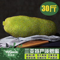 呀诺达海南三亚特产菠萝蜜新鲜水果时令当季生