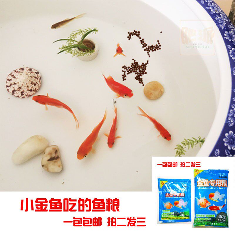 共2501 件金鱼食小型鱼相关商品