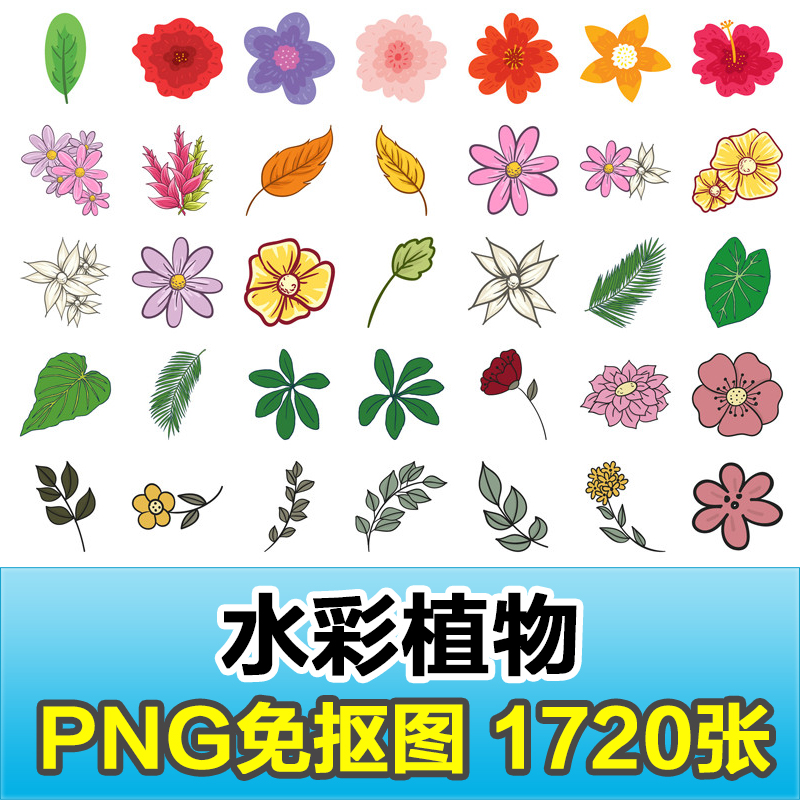 卡通手绘水彩植物花朵鲜花草叶子png透明底免抠图片素材