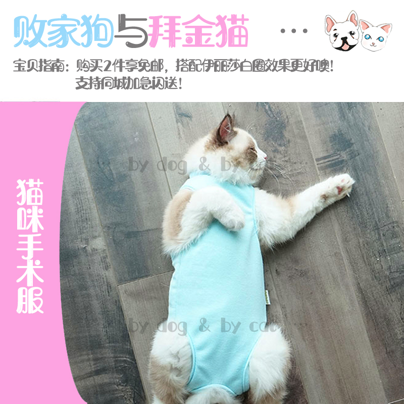 共917 件母猫绝育手术服相关商品