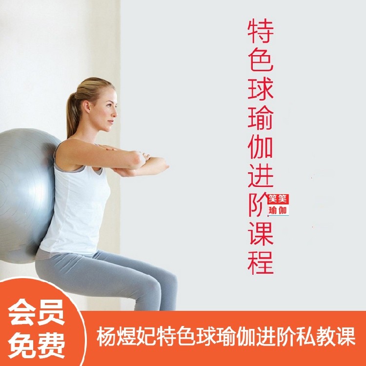 共272 件瑜伽球视频教程相关商品