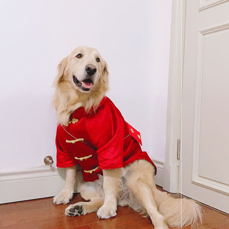 宠物狗狗衣服冬装喜庆 红色中犬拜年春节新衣服大型阿拉斯加唐.