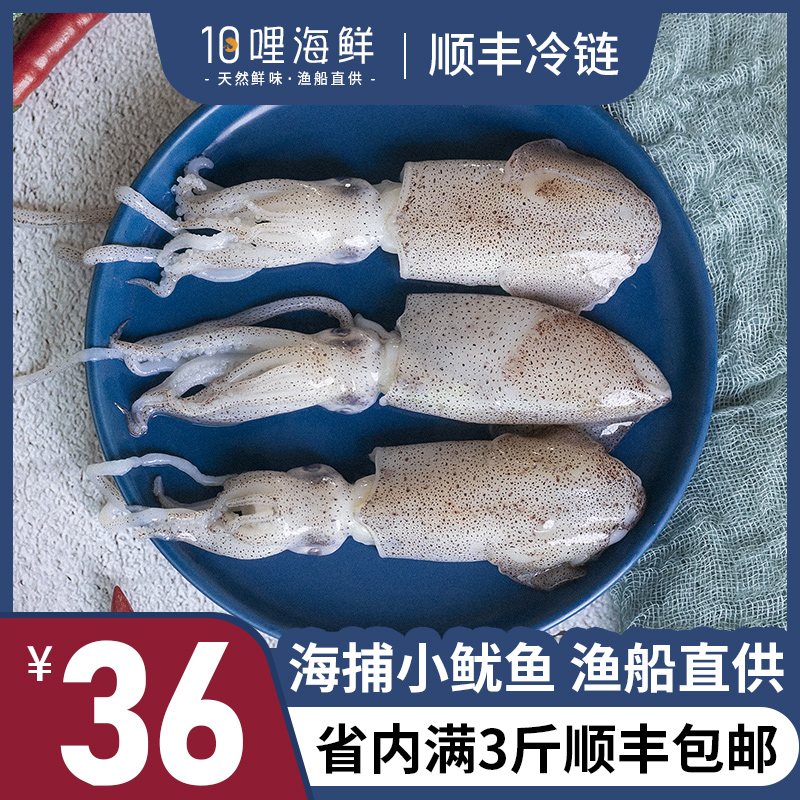 共157 件湛江鱿鱼相关商品