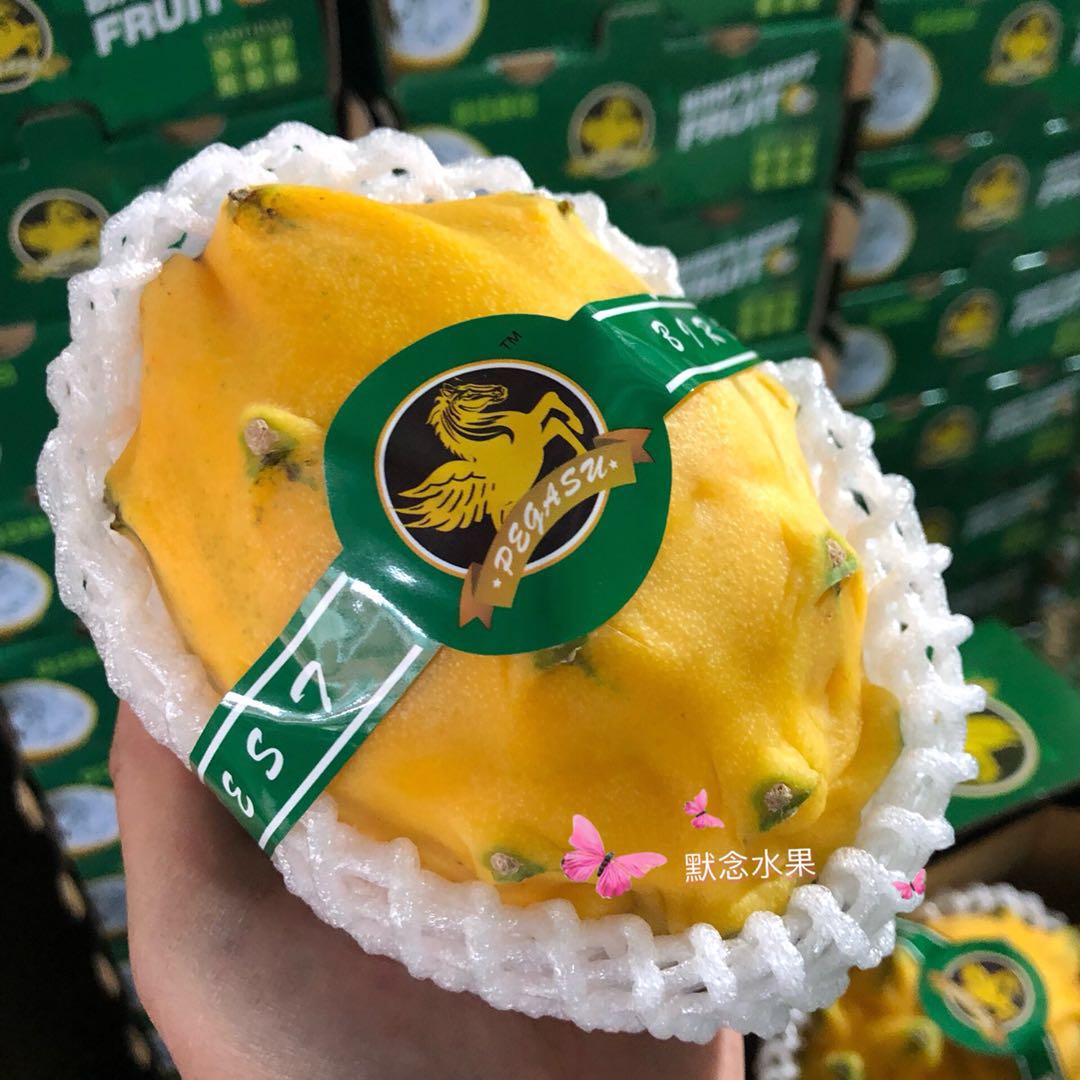 共119 件黄皮火龙果麒麟果相关商品