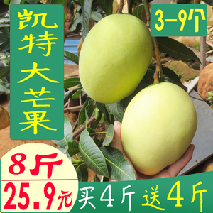 四川攀枝花凯特芒果大青芒新鲜水果非广西贵妃金煌芒8斤特产包邮水果