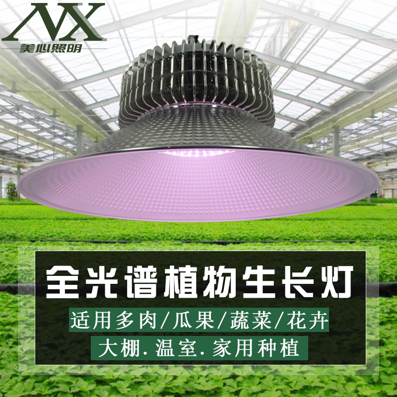 多肉补光灯室内新品 多肉补光灯室内价格 多肉补光灯室内包邮 品牌 淘宝海外