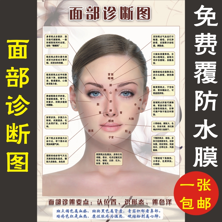 人体面部穴位图经络美容院脸部按摩中医养生图片挂图刮痧面诊海报