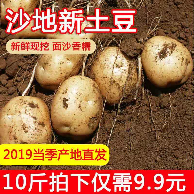 共137 件威宁土豆相关商品