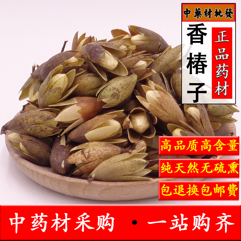中药材香椿子500克 天然新鲜嗮干椿树果子 香椿铃椿芽 香椿树花子