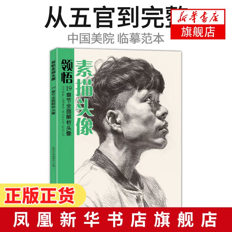 美学大师 领悟素描头像书籍 大八开临摹范本 人物绘画结构五官解析对