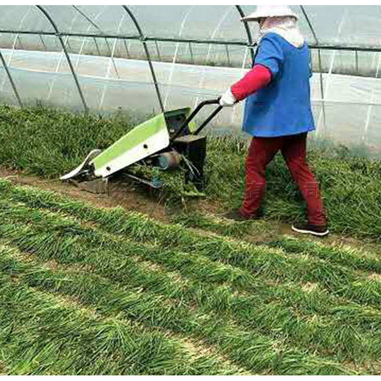 辣椒收割机 电动韭菜割倒机 小型电动手推式韭菜收割打捆机器