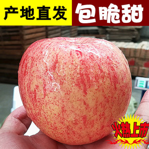 大个新鲜脆甜10斤山东烟台苹果栖霞红富士孕妇小孩带皮吃水果苹果苹果水果
