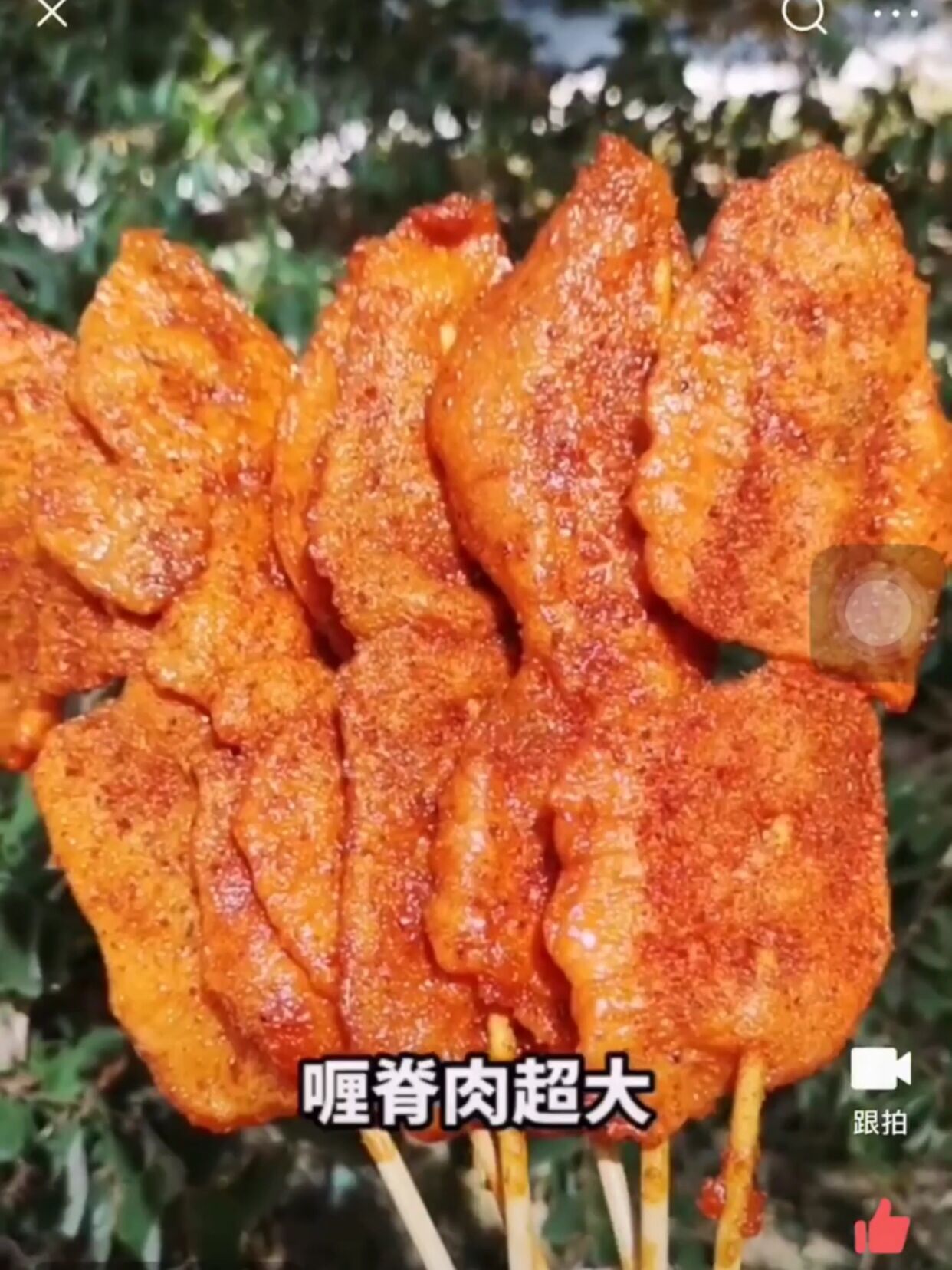 【顺丰】南京小姐姐天尝喱脊里脊肉串铁板油炸烧烤生鲜30片/袋