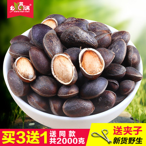云南野生松子原味新货薄壳非巴西松子仁新鲜东北坚果零食特产500g松子东北