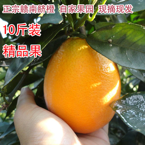 江西正宗赣南脐橙 甜橙子当季新鲜水果榨汁农家果园现摘10斤包邮脐橙水果