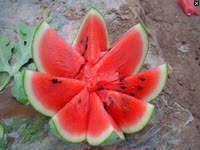 正宗海南麒麟瓜 18斤礼盒装 海南精品西瓜 新鲜