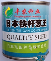 日本铁杆葱王-东大葱大田盆栽小院种热卖日本