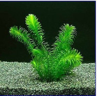 百分之百与百分之九十九》-分之百包损哦虾窝