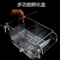 南美水域 比目鱼淡水比目鱼 鳎沙鱼挞沙鱼鲽鱼