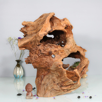 植木花盆陈化血柏木 香柏树根料树根花盆 种多