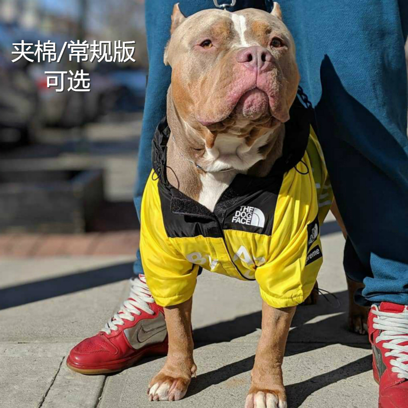 恶霸犬衣服英国斗牛犬英牛法斗潮牌巴哥法牛胖狗狗大型中型冲锋衣