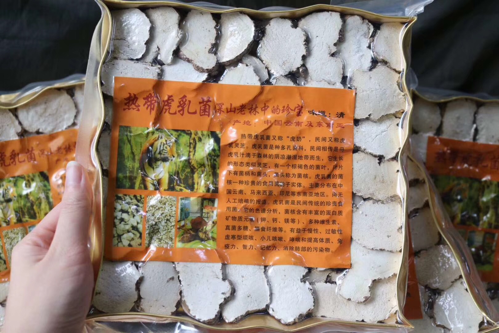 共105 件野生虎奶菇相关商品