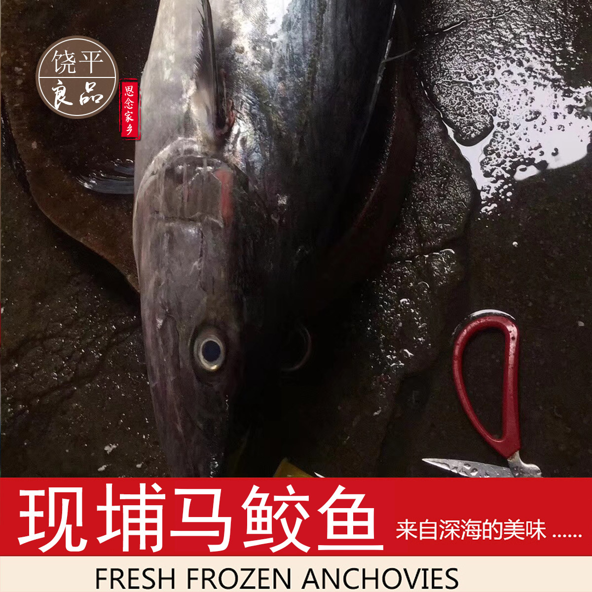 深海海鲜粤东马胶鱼新鲜野生大马鲛鱼片鲅鱼海鱼海500g