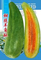 甜脆羊角稣 羊角蜜 密种子 红瓤稣瓜 传统甜瓜种