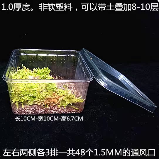 蜗牛盒子 宠窝龙达方形盒宠物饲养盒爬宠饲养箱蜘蛛蛙饲养盒爬.