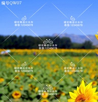 热卖虚线水印全屏防盗透明水印制作 满屏水印