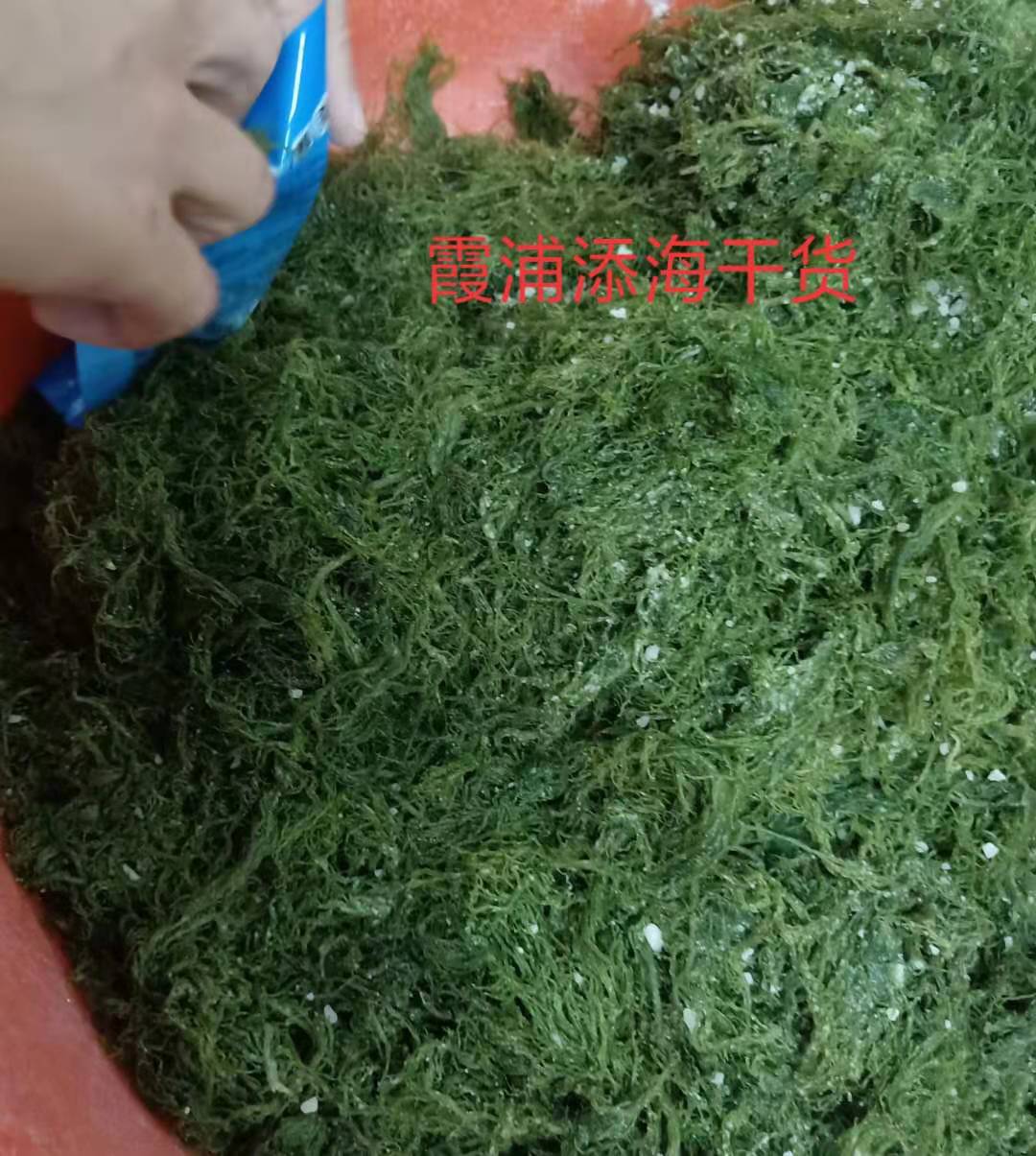 龙须菜2斤装包邮走量新鲜海菜凉拌海藻火锅凉拌菜柳丝龙须草鹿角