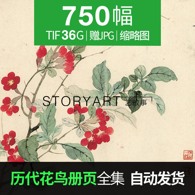 国画花鸟册页高清图片历代水墨工笔花鸟合集临摹素材750幅36g