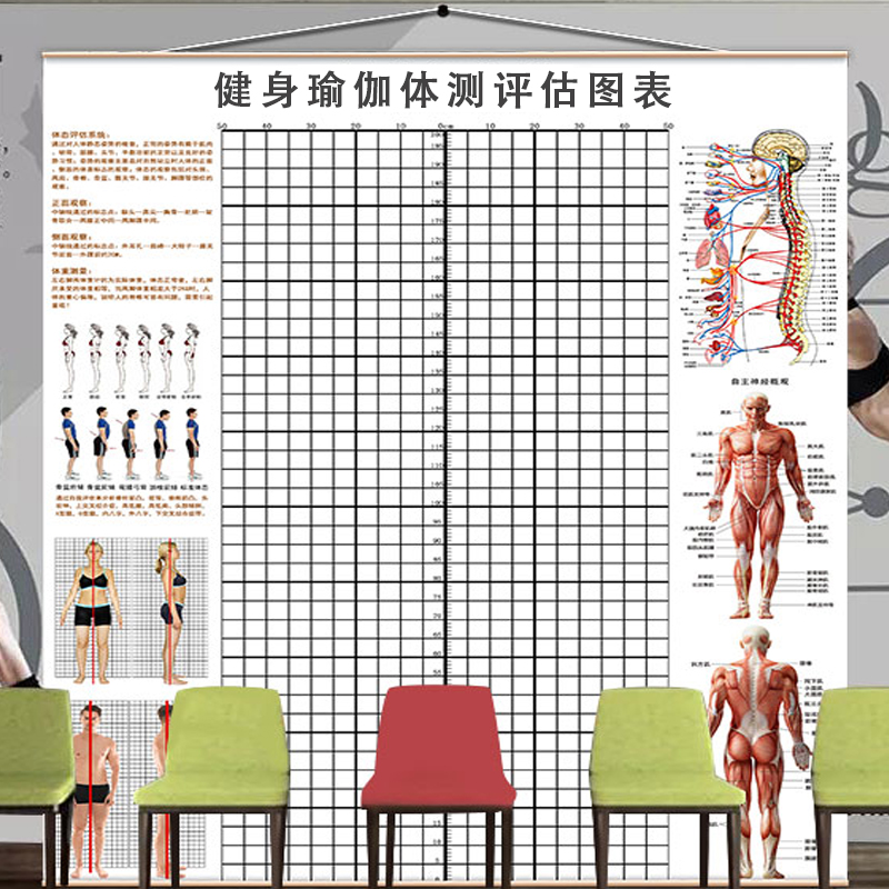 健身房挂式体态评估表瑜伽私教室身体评估墙图人体姿势分析体测表