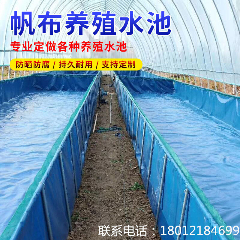 大型折叠帆布养殖鱼池大棚小龙虾锦鲤水蛭刀刮篷布油布蓄水池支架